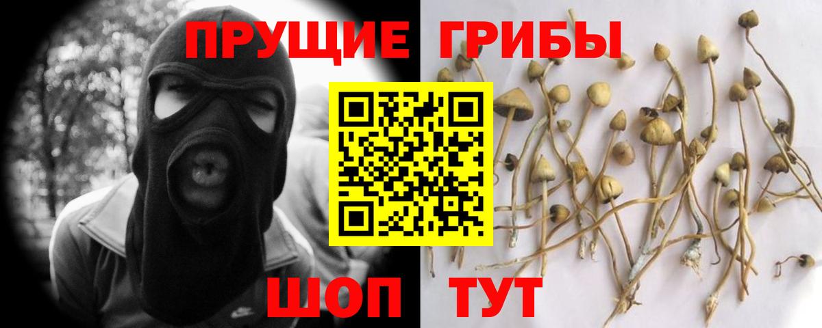 Галлюциногенные грибы Cubensis Ангарск